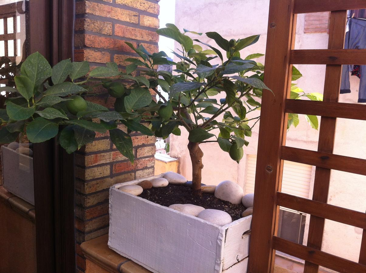 Guest House La Corte Normanna Sciacca Exterior photo